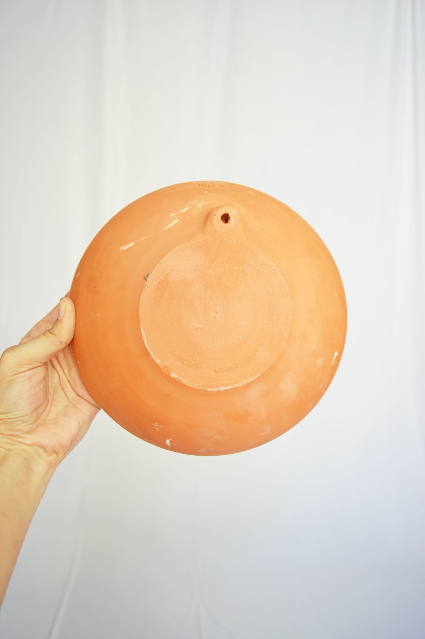Terracotta Wall Decor- Sea Creatures