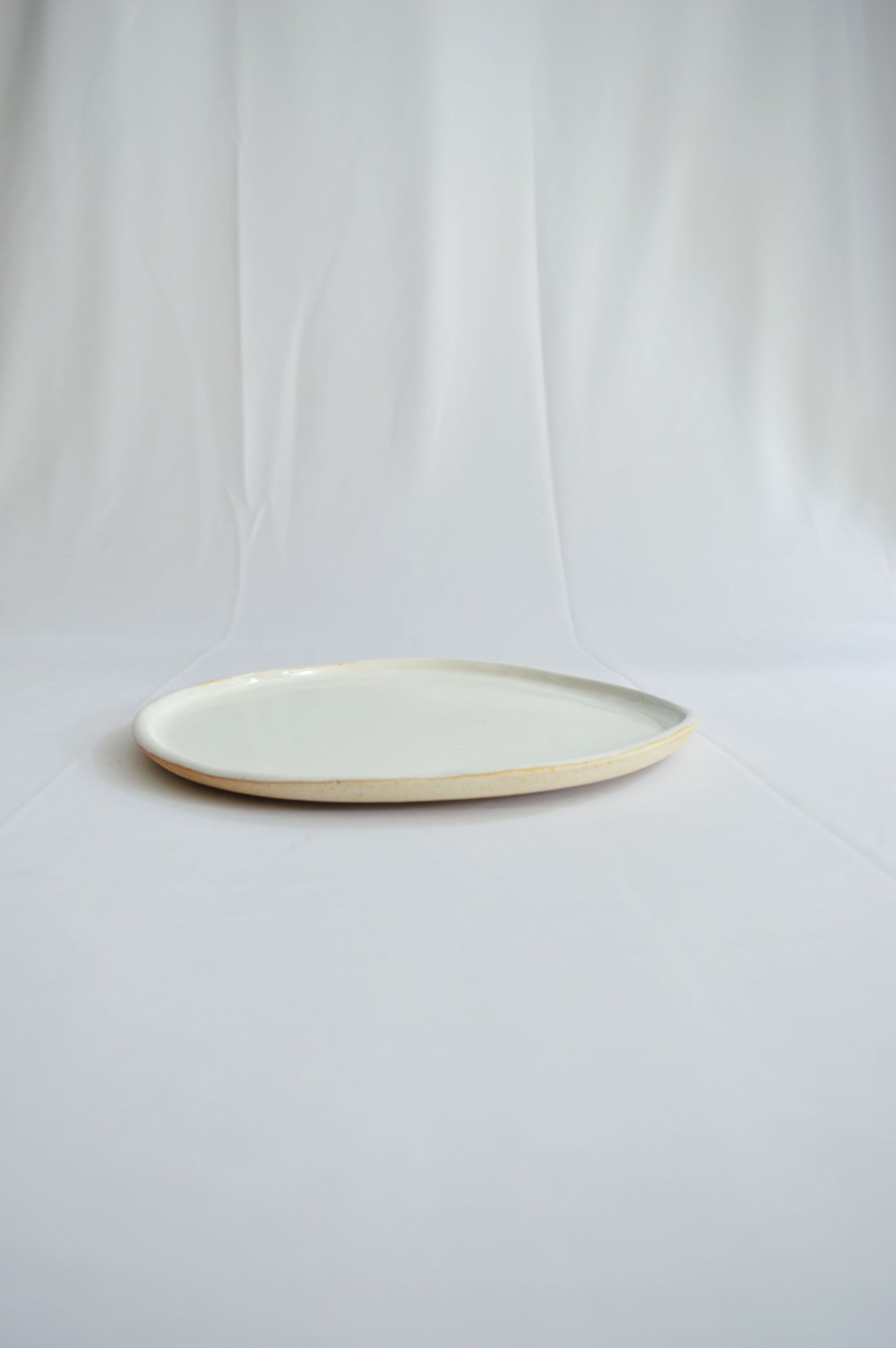 Dinner Plates 10" - Snow White Series- Set of 2