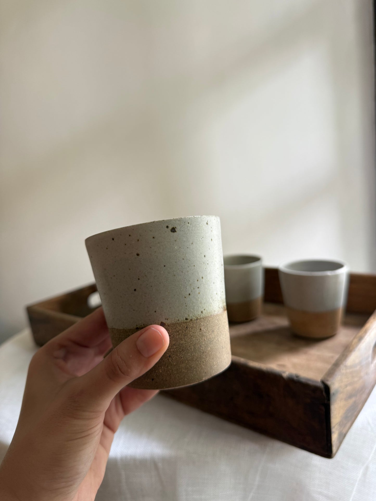 Tumbler for Iced Coffee/Matcha/Water- Oatmeal- Set of 2- Taiwan Series