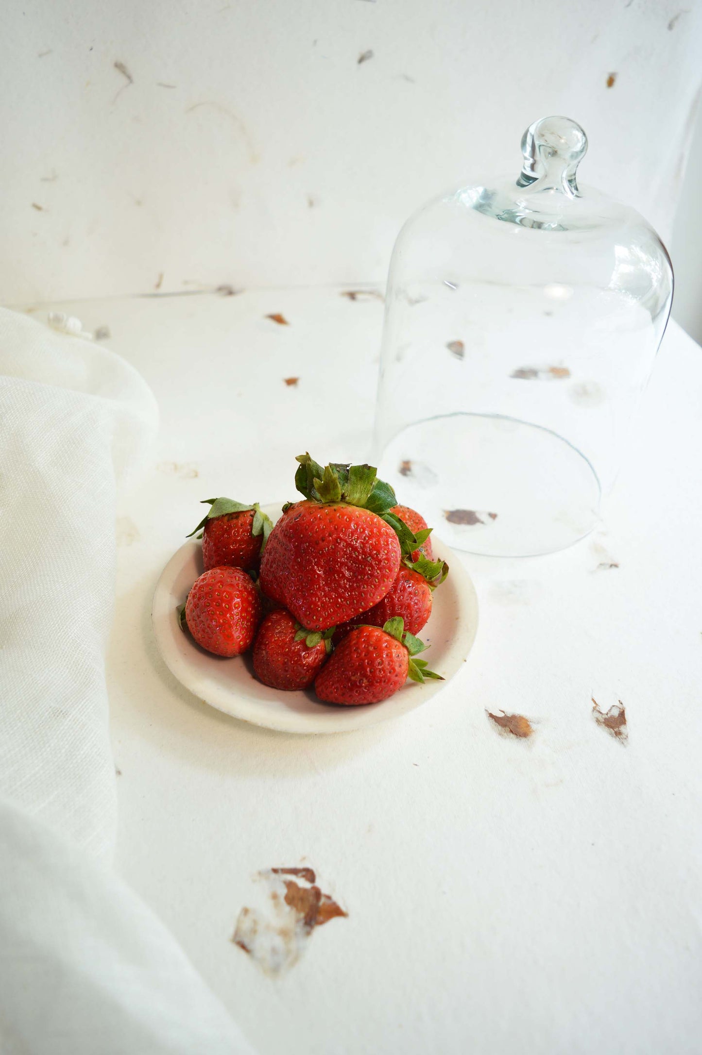 Glass & Ceramic Cookie Cloche- Small