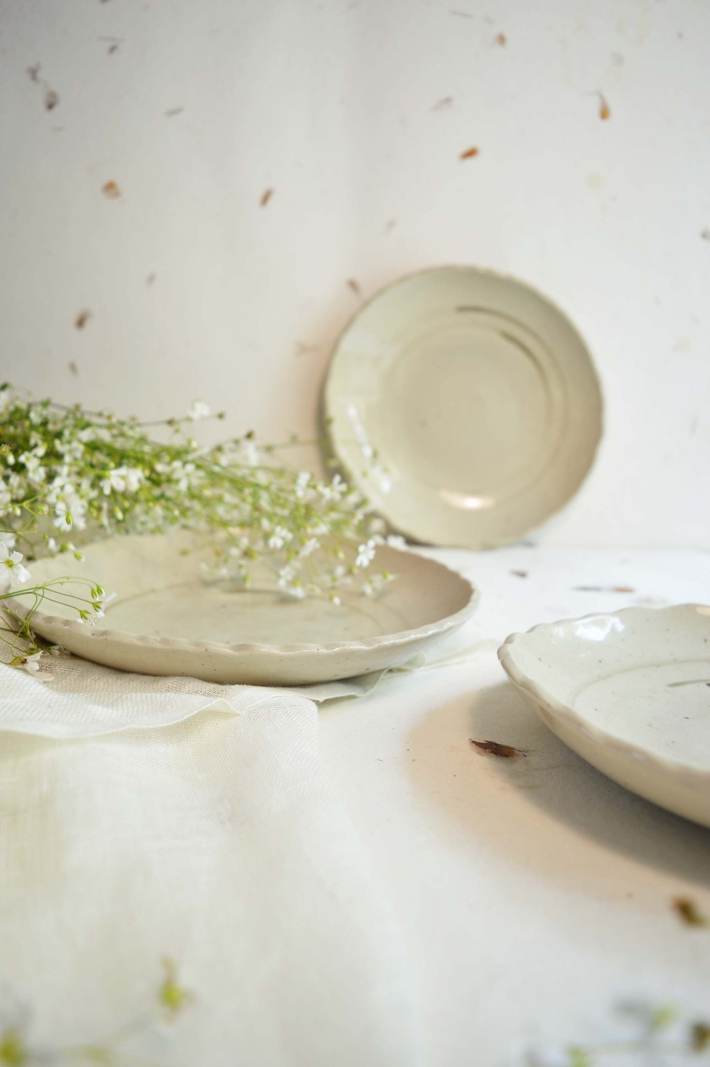 French Vanilla Bean- Dinner Plate