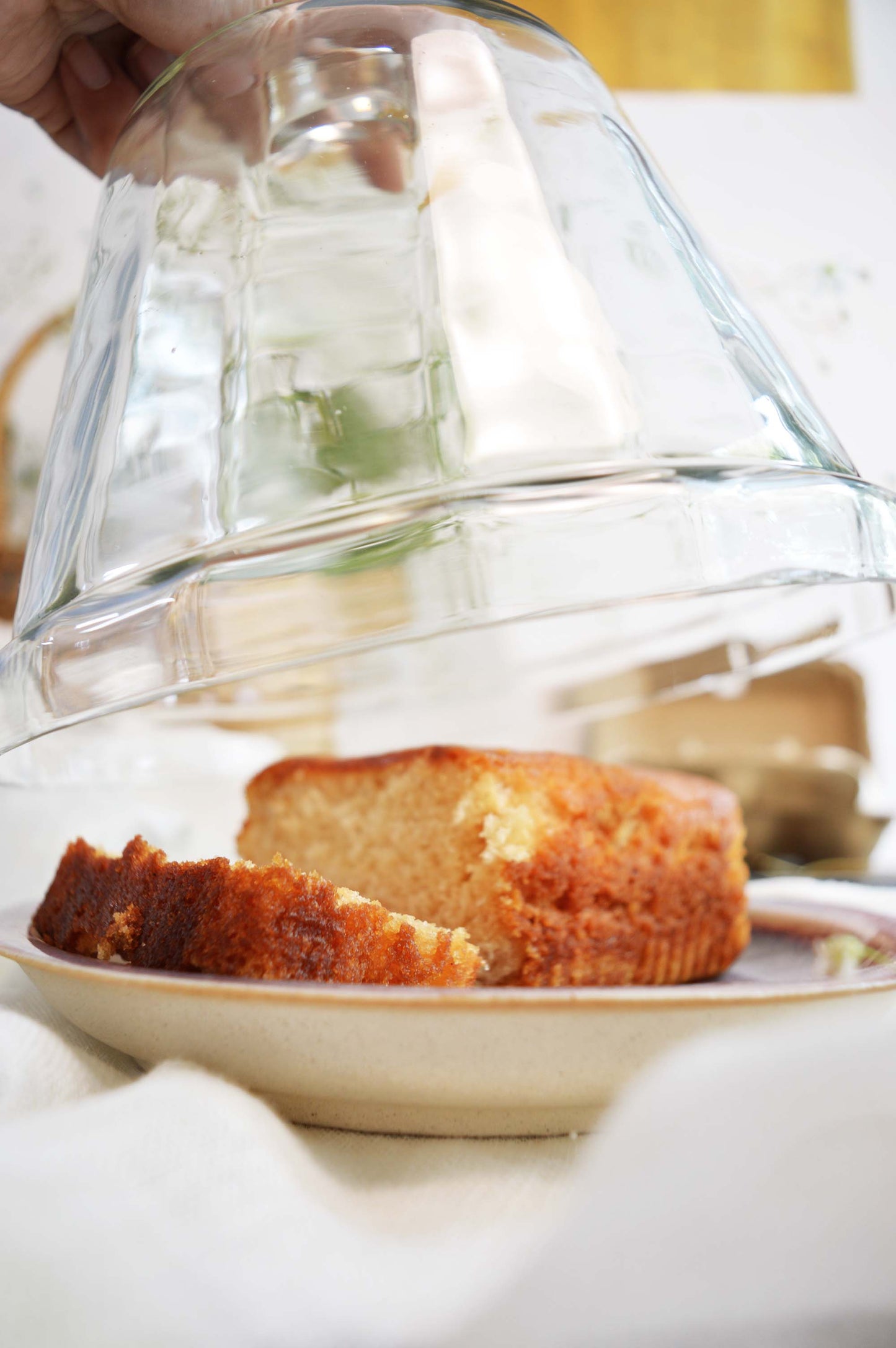 Glass & Ceramic Cake Cloche- Medium