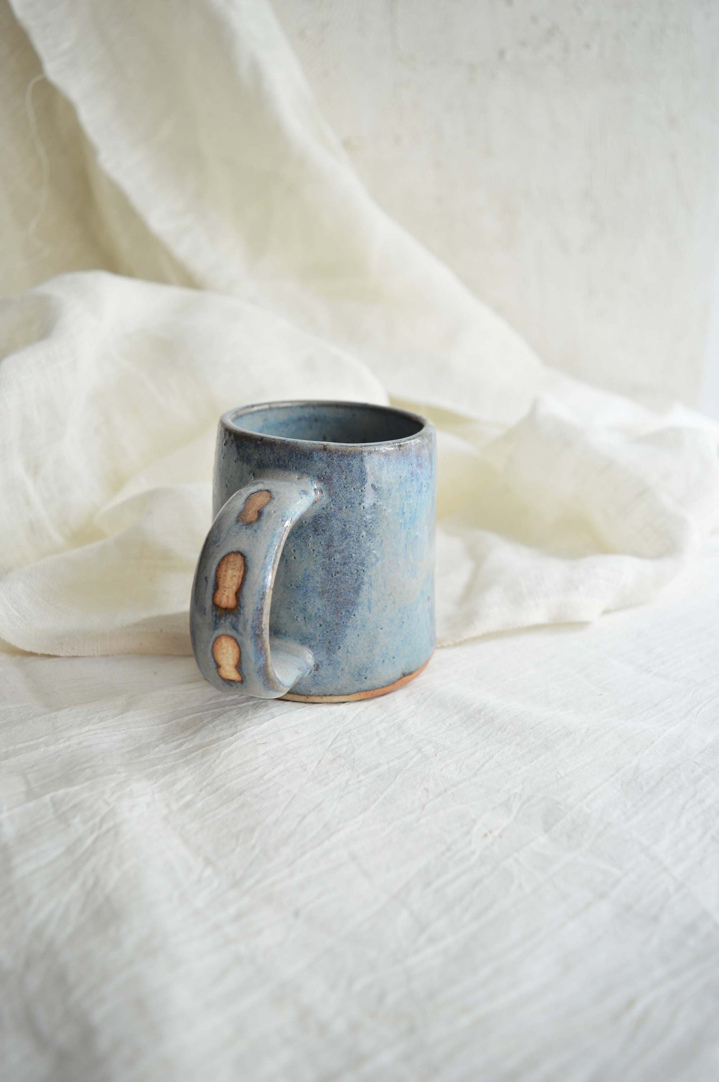 Coffee Mug- Fish