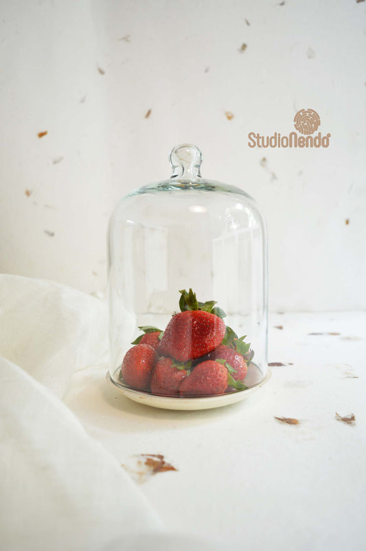 Glass & Ceramic Cookie Cloche- Small