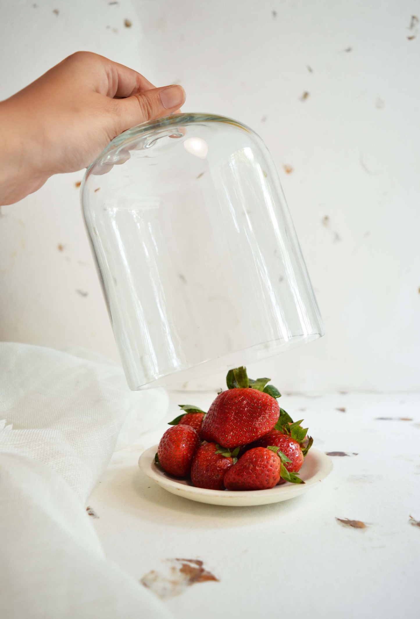 Glass & Ceramic Cookie Cloche- Small