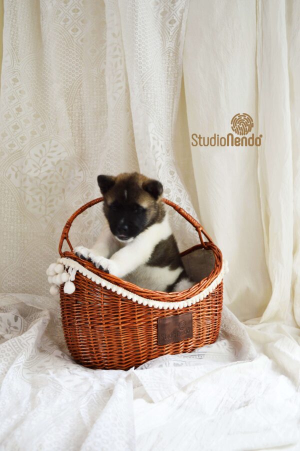 Kashmiri Willow Open Picnic Basket