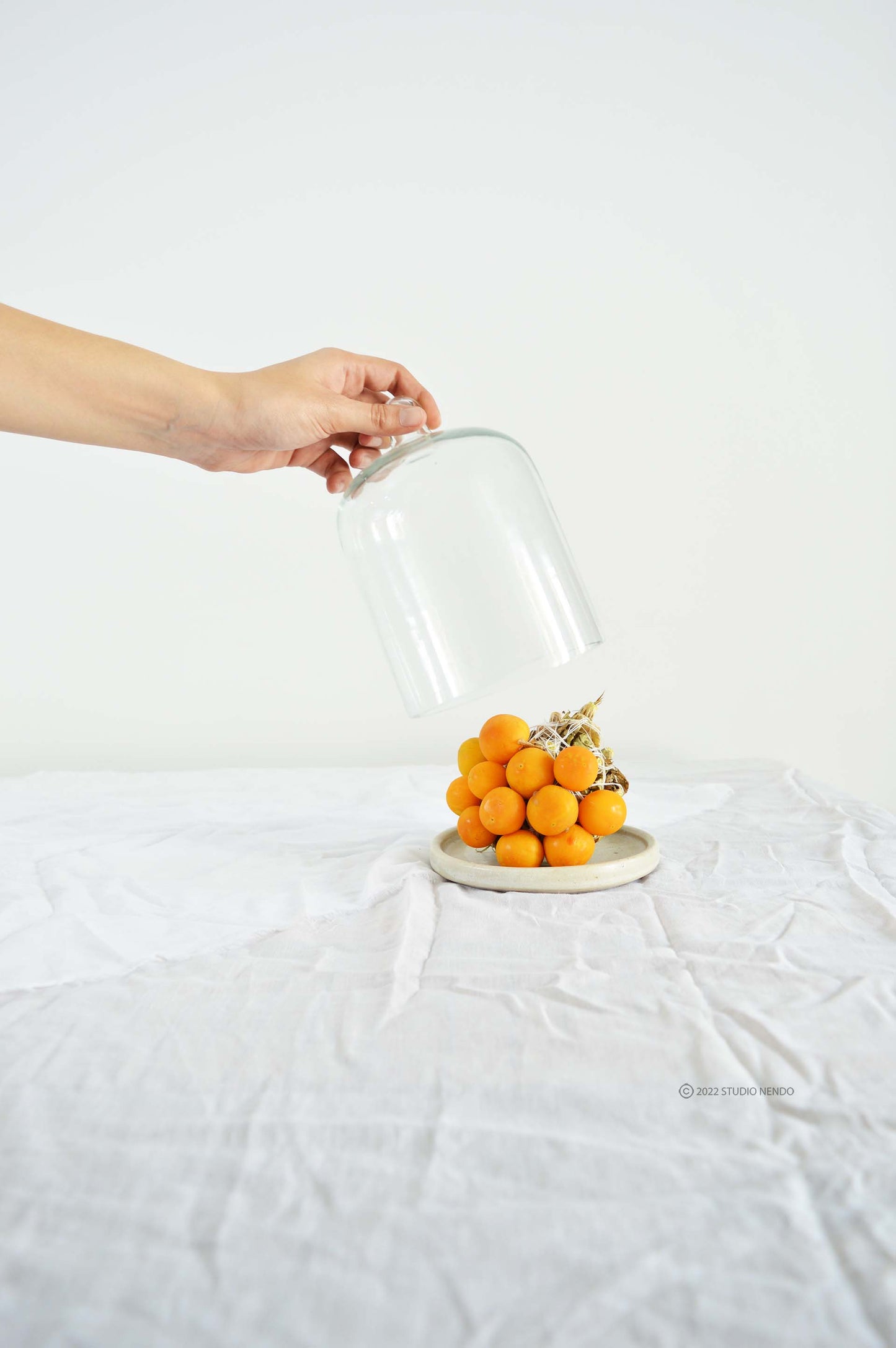 Cookie Cloche- Oatmeal