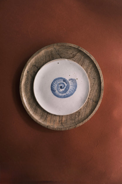 Wall Decor/Wall Plate- Sealife- Seashell #2