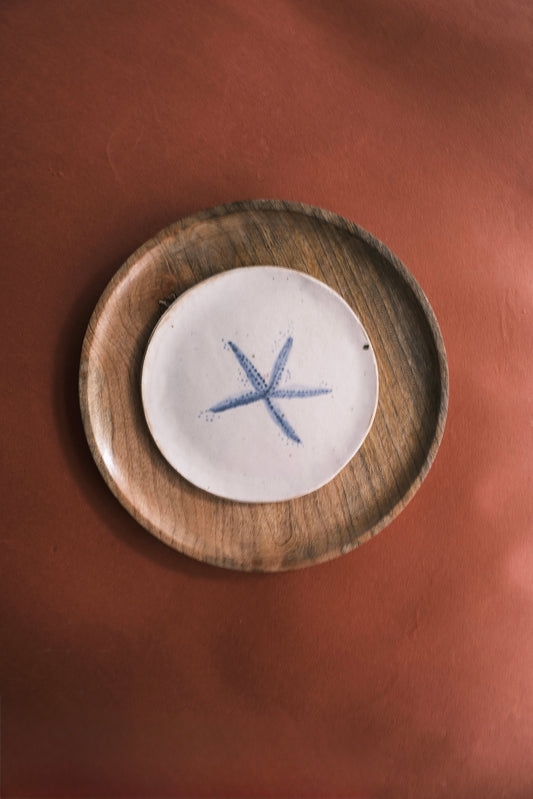 Wall Decor/Wall Plate- Sealife- Starfish