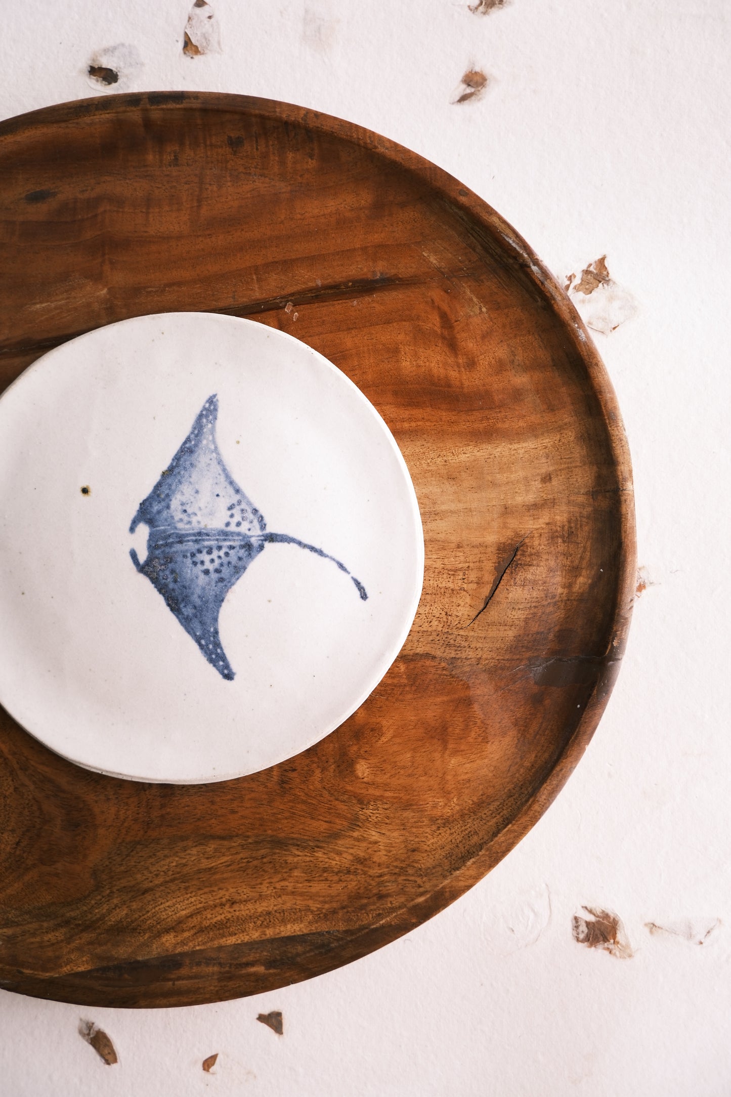 Wall Decor/Wall Plate- Sealife- Manta Ray