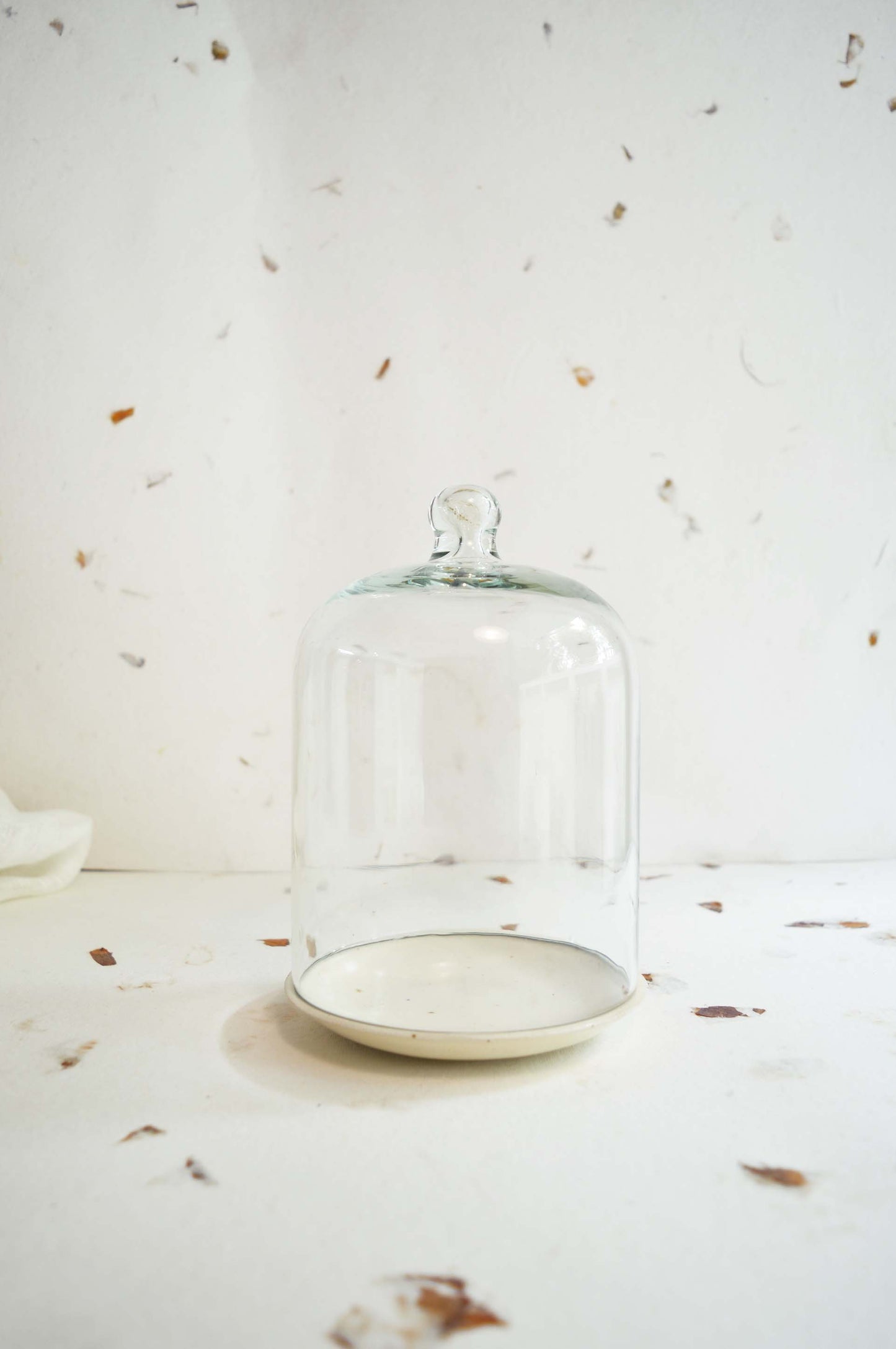 Glass & Ceramic Cookie Cloche- Small