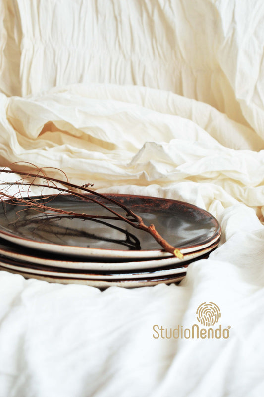 SNACK PLATES-IRREGULARORGANIC- SET OF 2- TENMOKKU